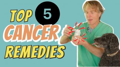 Cancer in Dogs and Cats: Top 5 Natural Remedies