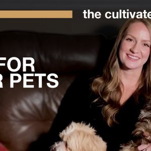 CBD For Pets (+ Discount Codes) | Holiday 2020 ðŸŽ�