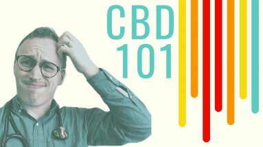 CBD Oil 101: Doctor Explains for ABSOLUTE beginners