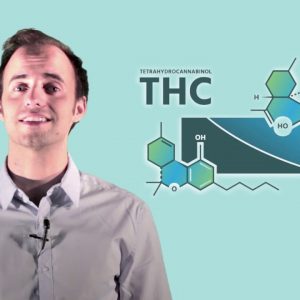 CBD vs. THC: What's the Difference?