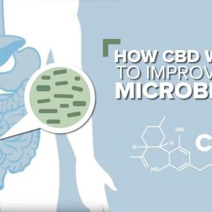 How CBD Works to Improve the Gut Microbiome