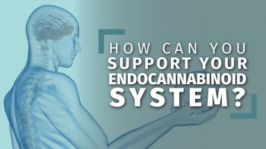 Natural Ways to Boost Your Endocannabinoid System [8 tips]