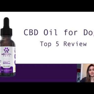 Top 5 CBD Oil for Dogs - SAFE CBD Oils For Your Pet!