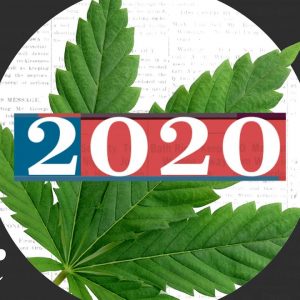 Weed was the real winner of the 2020 election
