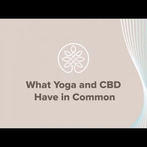 What CBD and Yoga Have In Common