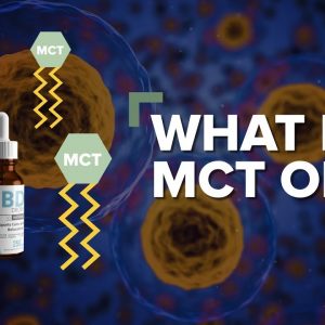 What is MCT Oil?