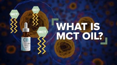 What is MCT Oil?
