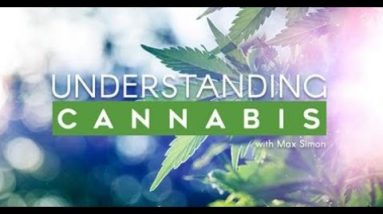 Who Actually Uses Cannabis Today? Understanding Cannabis / Green Flower
