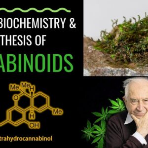Legal High from Moss better than Medical Cannabis? THC & CBD Biology, Chemistry & Synthesis