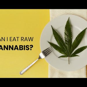 Can you Eat Raw Cannabis?