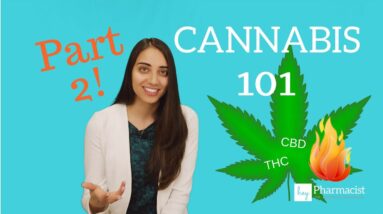 Cannabis 101: Part 2 (Terpenes/Flavonoids/THC/CBD/Heat)