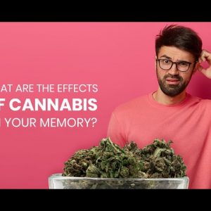 The Effects of Cannabis on Short & Long Term Memory