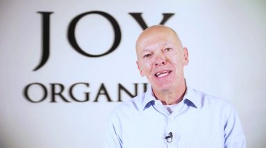 Why Become a CBD Oil Wholesaler with Joy Organics
