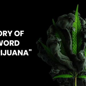 History Of The Word "Marijuana"