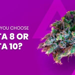Should you choose Delta 8 or Delta 10 THC?