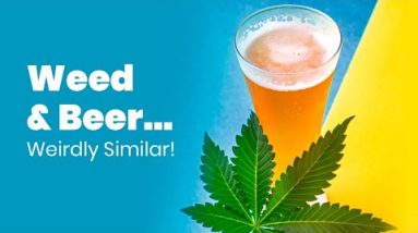 4 SHOCKING Similarities Between Weed and Beer!