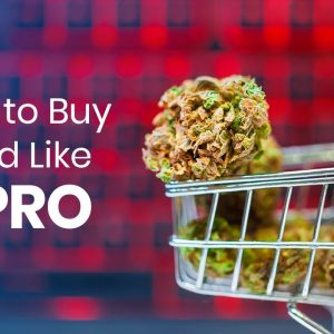 How To Buy High Quality Cannabis [5 TIPS]