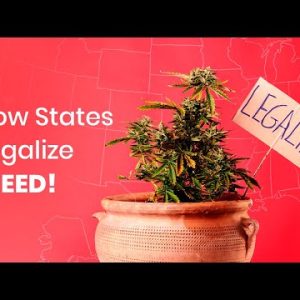 How Does Cannabis Become Legalized in a State?