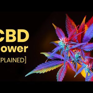 What is CBD Flower?