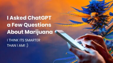I Asked ChatGPT a Few Questions About Marijuana (I Think Its Smarter Than I Am! :)