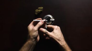 Optimizing Your Cannabis Experience / Derek Gilman / Ganjier